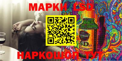 стаф Кингисепп