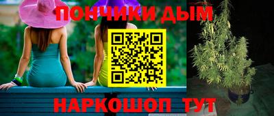 стаф Кингисепп