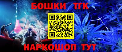 стаф Кингисепп