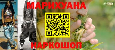 стаф Кингисепп