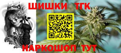 стаф Кингисепп