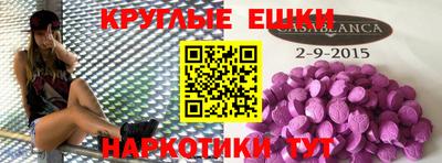 стаф Кингисепп