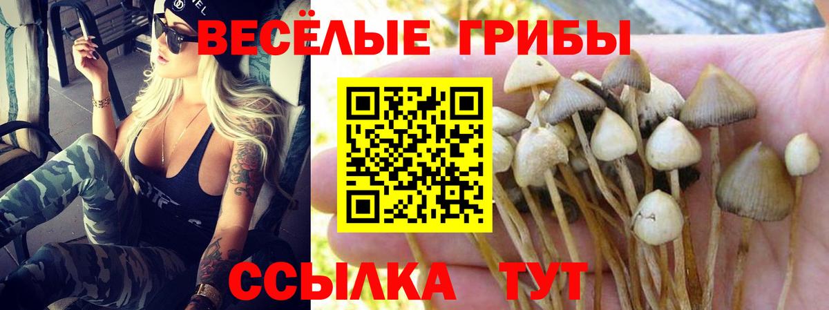 Псилоцибиновые грибы MAGIC MUSHROOMS Зима
