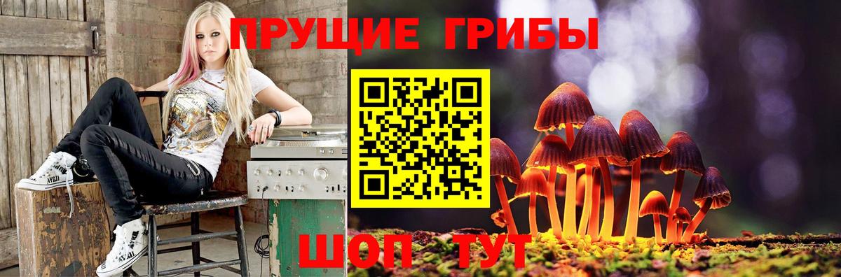 Зима  как найти   Вход с VPN  Галлюциногенные грибы Psilocybine cubensis  Галлюциногенные грибы мицелий 